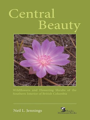 cover image of Central Beauty